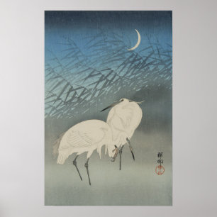 Weiße Helden und Mond, Ohara Koson Poster