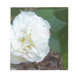weiße Hibiscus mutabilis Blume Notizblock