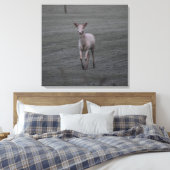 Weiße Hirsche Leinwanddruck (Insitu (Schlafzimmer))