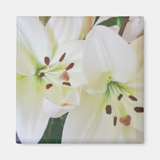 Weiße Hochzeitsblumen Save the Date Kühlschrankmag Magnet
