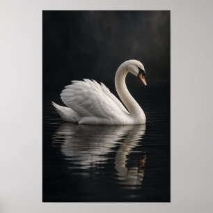 Weiße Höckerschwan-Wandkunst auf dunklem reflektie Poster