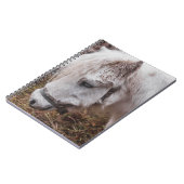 WEISSE HORSE NOTIZBLOCK (Linke Seite)