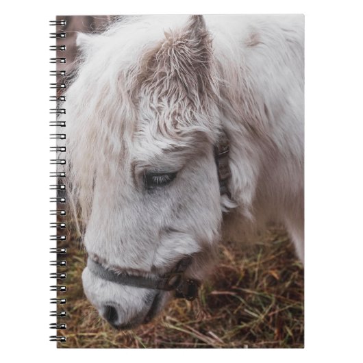 WEISSE HORSE NOTIZBLOCK (Vorderseite)