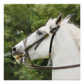 WEISSE HORSE POSTER (Vorderseite)