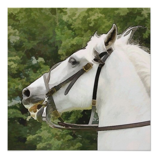 WEISSE HORSE POSTER (Vorderseite)