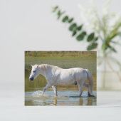 WEISSE HORSE POSTKARTE (Stehend Vorderseite)