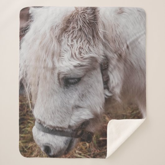 WEISSE HORSE SHERPADECKE (Vorderseite)