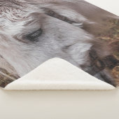 WEISSE HORSE SHERPADECKE (3/4)