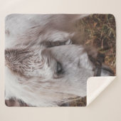 WEISSE HORSE SHERPADECKE (Vorderseite (Horizontal))