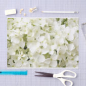 Weiße Hortensien-Sommerparty Seidenpapier (Handwerk)