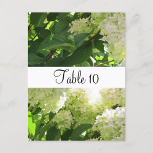 Weiße Hortensien-Tischplatzierung Postkarte