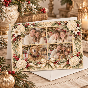 Weiße Hortensien Weihnachten 4 Foto Urlaub