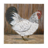 Weiße Huhn-Keramik-Fliese Fliese (Vorderseite)