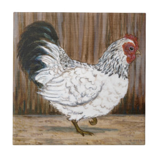 Weiße Huhn-Keramik-Fliese Fliese