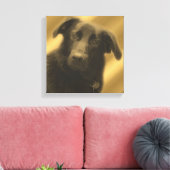 Weiße Hunde Augen Tier Leinwanddruck (Insitu (Wohnzimmer))