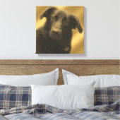 Weiße Hunde Augen Tier Leinwanddruck (Insitu (Schlafzimmer))