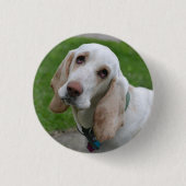 Weiße Hunde, Kopf an der Seite geneigt Button (Vorderseite)