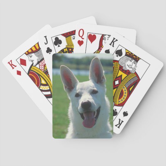 Weiße Hundehunde, die Karten spielen Spielkarten (Rückseite)