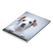 Weiße Hündin. Eine solche Süsse. Notizblock (Rotiert)