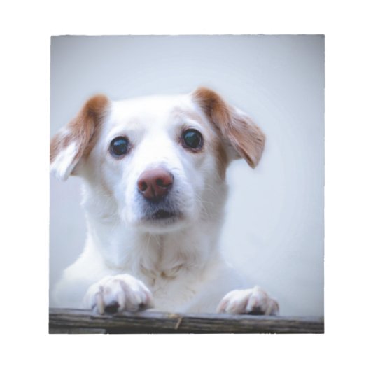 Weiße Hündin. Eine solche Süsse. Notizblock (Vorderseite)