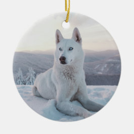 Weiße Husky-Hunde im Schnee Keramik Ornament