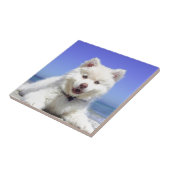 Weiße Husky-Welpe mit blauen Augen Fliese (Seite)