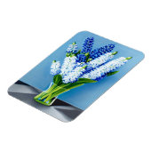 Weiße Hyazinthen in einer Glasvase auf blau Magnet (Linke Seite)