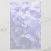 Weiße Hydrangea-Blume Briefpapier (Vorderseite)