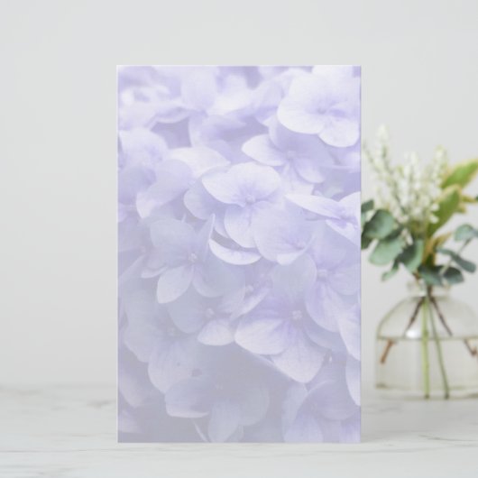 Weiße Hydrangea-Blume Briefpapier (Stehend Vorderseite)