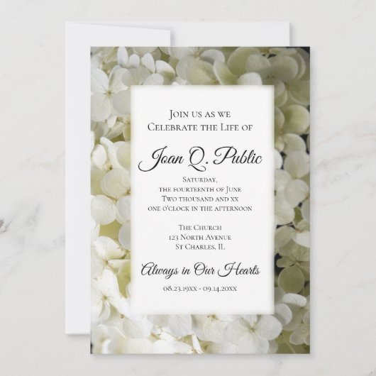 Weiße Hydrangea-Blume - Lebensfeier Einladung (Vorderseite)