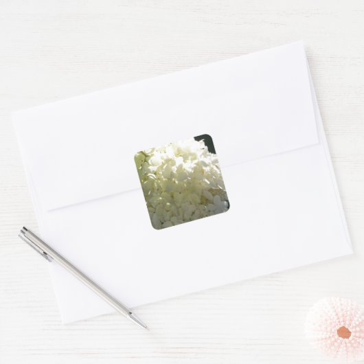 Weiße Hydrangea-Blume Quadratischer Aufkleber (Umschlag)