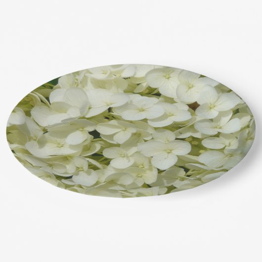 Weiße Hydrangea Pappteller (Schrägansicht)