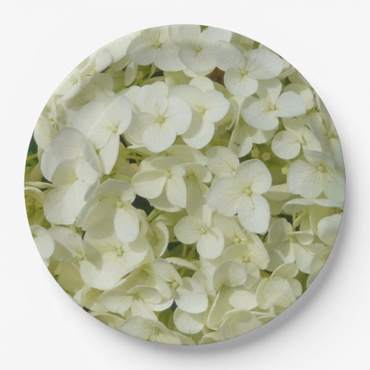 Weiße Hydrangea Pappteller (Vorderseite)