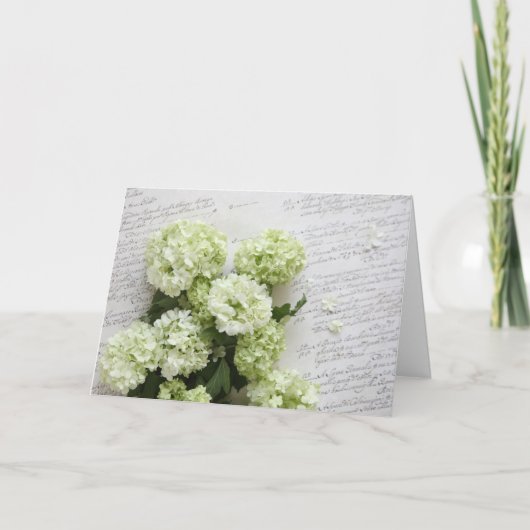 weiße Hydrangeas mit Skriptschreibens-Grußkarte Karte (Vorderseite)