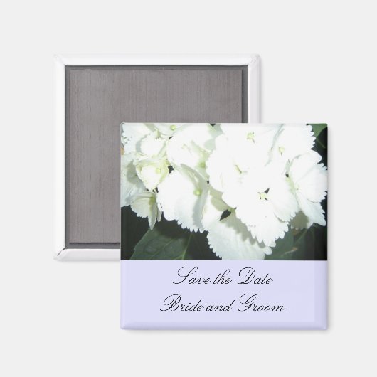 Weiße Hydrangeas mit weichem, blauer Grenze Magnet (Vorderseite/Rückseite)