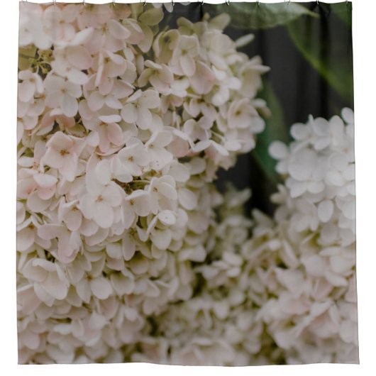 WEISSE HYDRANGEE IM BLOOM DUSCHVORHANG (Vorderseite)