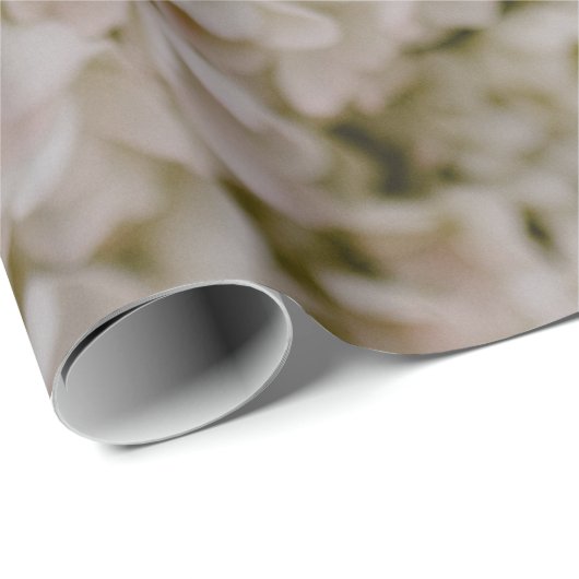 WEISSE HYDRANGEE IM BLOOM GESCHENKPAPIER (Rolleneckpunkt)