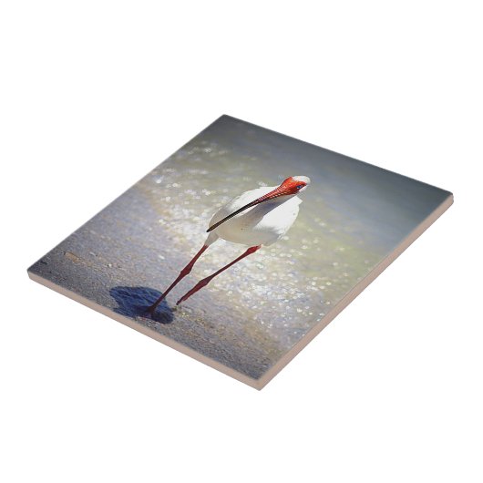 Weiße IBIS-Spreize Fliese (Seite)