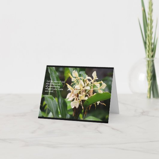 Weiße Ingwer-Schriftskarte Karte (Vorderseite)