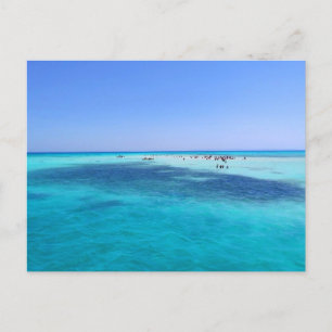 Weiße Insel im Roten Meer Postkarte