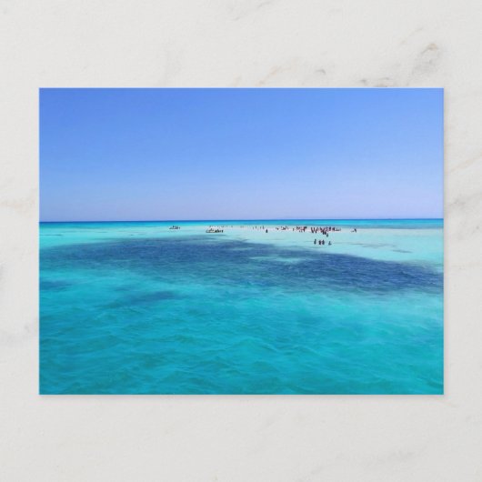 Weiße Insel im Roten Meer Postkarte (Vorderseite)