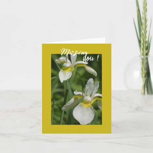 Weiße Iris - Vermisse Dich Karte (Vorderseite)