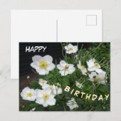 Weiße japanische Anemonen Geburtstagskarte Postkarte (Vorne/Hinten)
