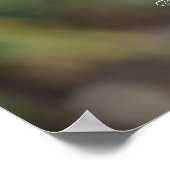 Weiße japanische Magnolia-Blume mit Old Hymn Poster (Ecke)