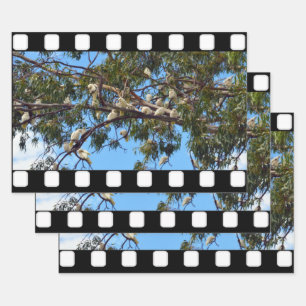 weiße Kakadaver in Zahnbäumen, Geschenkblätter, Geschenkpapier Set