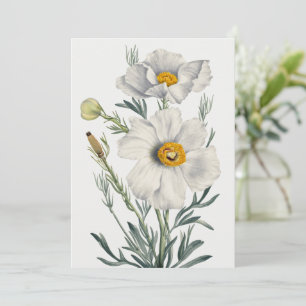Weiße Kalifornien Baum Mohn Blumen Botanisch Feiertagskarte