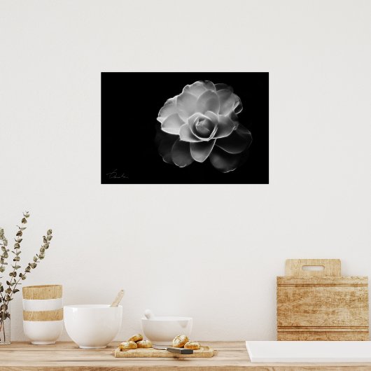 weiße Kamelie BW Poster (Küche)