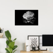 weiße Kamelie BW Poster (Heimbüro)