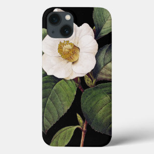Weiße Kamelie iPhone 13 Hülle