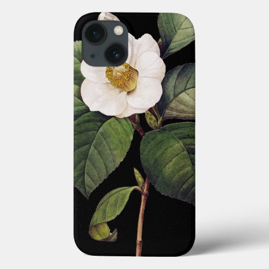Weiße Kamelie Case-Mate iPhone Hülle (Rückseite)
